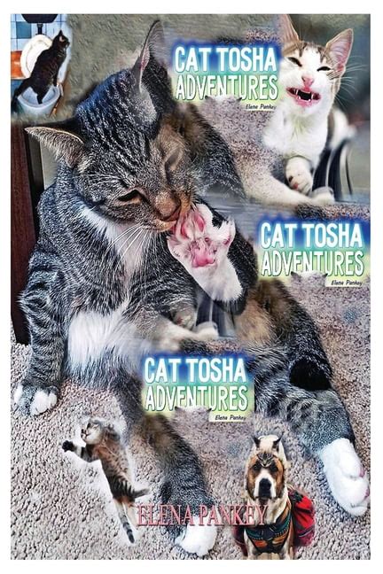 Cat Tosha (@nashidni.